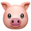 🐷