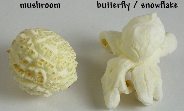 Mushroom_and_butterfly_popcorn.jpg