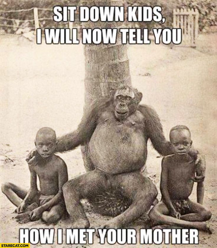sit-down-kids-i-will-now-tell-you-how-i-met-your-mother-monkey-gorilla-chimpanzee.jpg