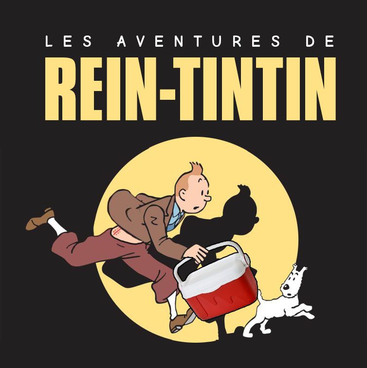 rein tintin.jpg