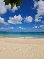 anguilla 2.jpg